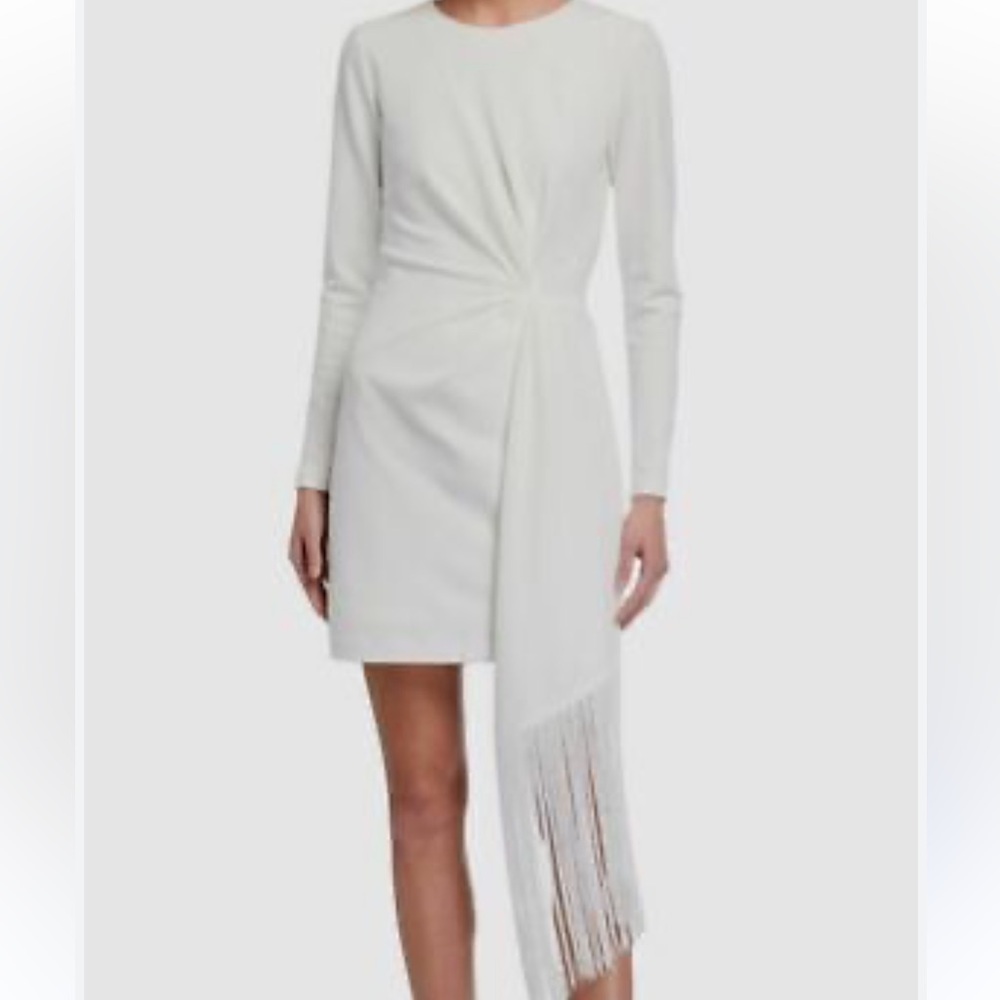 One33 Social NWOT Long-Sleeve Jacquard Dress with Fringe White Size 8